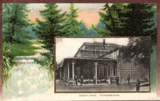 Gyulafehérvár Kiosk Litho