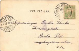1904 Orosháza, Kossuth tér, Alföld szálloda. Pless N. kiadása. Keresztes amateur felvétele (b)