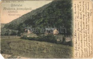 1903 Lillafüred (Miskolc), nyaralótelep, villák. Lövy József fia 771. (EM)