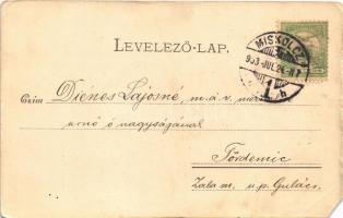 1903 Lillafüred (Miskolc), nyaralótelep, villák. Lövy József fia 771. (EM)