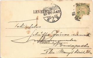 1904 Bácsalmás, látkép. Ifj. Fiedler József kiadása (r)