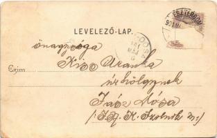 1901 Esztergom, Szentháromság szobor, Városháza. Kardos Dezső kiadása (b)