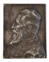 Ismeretlen férfi portréja, relief, fém. 11x9cm