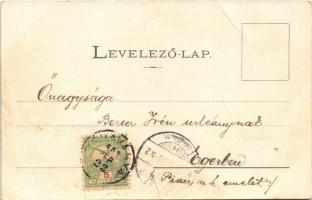 1902 Dévaványa, látkép, déli oldal. Berkovics D. Dezső kiadása (EB)