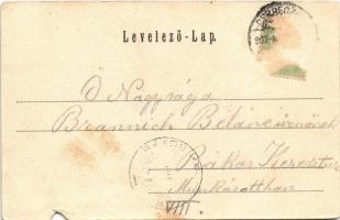 1902 Debrecen, Igazságügyi palota. Pongrácz Géza kiadása. Kiss Ferenc fényképe után (b)