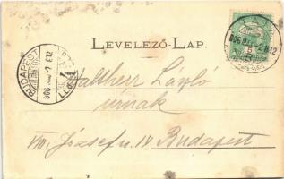 1906 Tata, Tata-Tóváros; Park. Engländer és Társa kiadása (r)