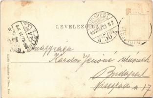 1906 Tata, Tata-Tóváros; Esterházy tér, Bauer üzlete. Engländer és Társa kiadása (r)