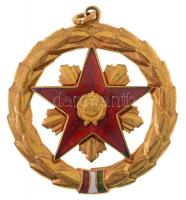 1957. Szocialista Munkáért Érdemérem zománcozott fém kitüntetés mellszalag nélkül, nem eredeti dísztokban T:1- NMK 604.