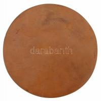 ~1980. "Gyula látképe a várból nézve" Br emlékérem (102mm) T:2