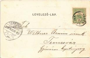 1902 Törökbálint, Urasági kastély. Scheiblinger Ferenc kiadása (felületi sérülés / surface damage)