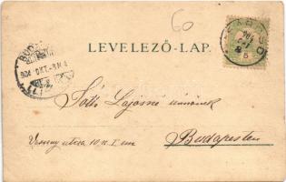 1904 Jakabszállás (Sárosd), lovashintó a Weiss-kúria előtt. photo (EK)