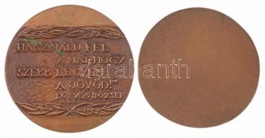 ~1980. "Gyula / "Használd fel a mát, hogy szebb legyen a jövőd!" Eötvös József" ...