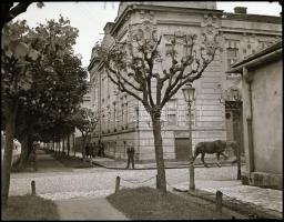 cca 1940-1950 Kassai részletek, 9 db fotónegatív, 4,5×5,5 cm