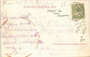 Barcs, Dráva rakpart, iparvasút. W.L. 139. (fl)