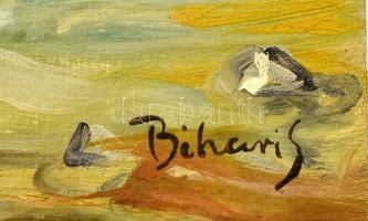 Bihari S jelzéssel: Csikós. Olaj, vászon, sérült. 33x24,5 cm