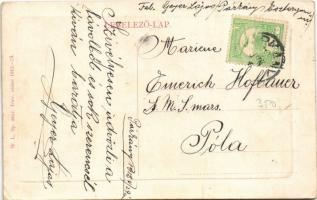 1912 Párkány, Parkan, Stúrovo; Községi nagyvendéglő, étterem. W.L. Bp. 5817. / restaurant, inn (EK)