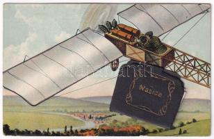 Nekcse, Nasice; Repülőgépes leporello 10 képpel / Leporellocard with aircraft and 10 pictures