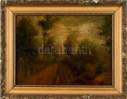 Mednyánszky jelzéssel: Erdei út. Olaj, karton. Dekoratív, sérült fa keretben, 30x42 cm