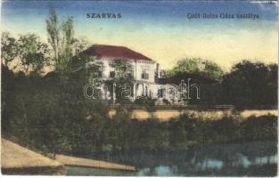 1925 Szarvas, Gróf Bolza Géza kastélya (EK)