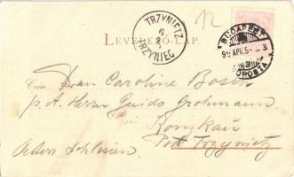 1899 Budapest VIII. Nemzeti Múzeum. Verlag Back & Schmitt litho s: Rosenberger (EK)