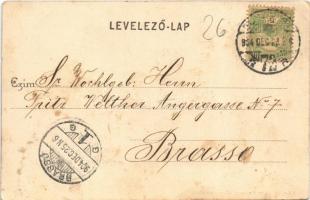 1904 Budapest XIV. Városliget, Budapesti Korcsolyázó Egylet, jégkorcsolyázók, téli sport. Kertész Tó...