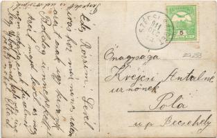 1911 Szécsisziget, birtok. photo (fl)