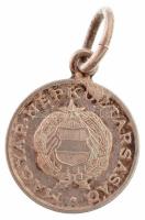 ~1970. 1Ft ezüstszínű mini pénz "Kádár címer" füllel (12,5mm) T:2