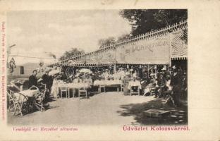 Kolozsvár Restaurant Donky