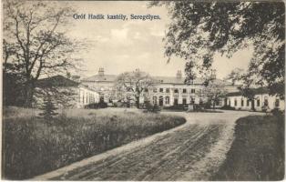 1913 Seregélyes, Gróf Hadik kastély. Pete műterem (EK)
