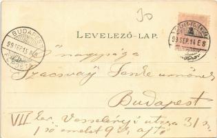 1899 Székesfehérvár, Vörösmarty szobor, Püspöki palota, Megyeház, Színház, Nádor utca. Klökner Péter...