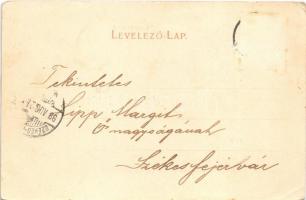 1899 Nagykanizsa, Városháza, Csengeri utca, Deák tér, Fő tér, üzletek. Alt és Böhm kiadása. Art Nouv...