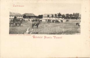 Pusztavacs Lipót-major