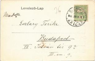 1906 Visegrád, Gizella telepi üdülőhely, Erzsébet szálló vendéglővel. M. H. jr. kiadása (szakadás / ...