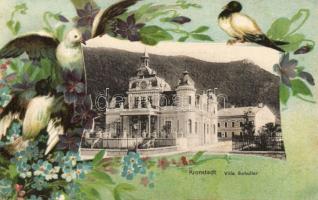 Brassó Schuller villa Litho