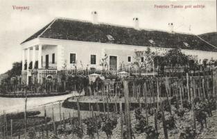 Vonyarc Festetics Tasziló szöllője