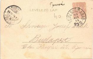 1899 Temesvár, Timisoara; Ferenc József színház / Theater / theatre. Corvina litho + "TEMESVÁR ...