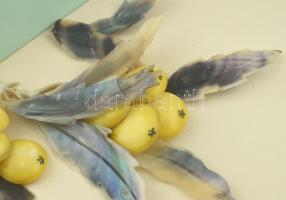 Japán gyöngyházberakásos fali kép, üvegezett keretben, 31×13 cm