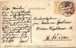 1911 Osztrák-magyar katonák csoportja / Austro-Hungarian K.u.K. military, group of officers. Brenner...