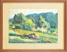 Novotny Emil Róbert (1898-1975): Hegyvidéki táj, 1961. Akvarell, papír, jelzett. Üvegezett, kissé sé...