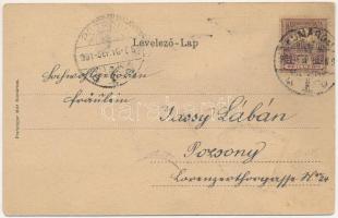 1901 Komárom, Komárno; Városháza. Szecessziós címeres litho keret sassal. Freisinger Mór kiadása / S...