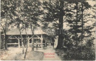 1910 Bártfa, Bártfafürdő, Bardejovské Kúpele, Bardiov, Bardejov; Cseresznyés. Hajts Kornél felvétele / pavilion