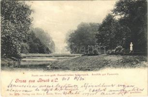 1903 Lajtabruck, Bruck an der Leitha; Partie aus dem gräfl. Harrachschen Schlosspark, Aussicht zur Fasanerie / Harrach (Prugg) kastély parkja. Verlag Alex J. Klein Nr. 575. / castle park (EB)