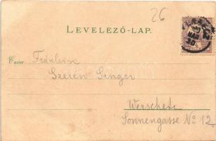 1900 Versec, Vrsac; Honvéd emlékmű, Hotel Milleker szálloda, Takarékpénztár. Wetti Vilmos kiadása / ...