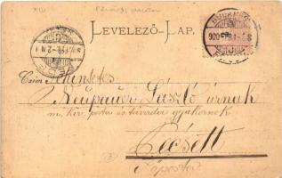 1900 Budapest XIV. Városliget, Fővárosi Pavilon vendéglő