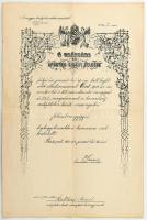 1915 Bp., M. kir. honvédelmi miniszter által kiadott főhadnagyi kinevezés