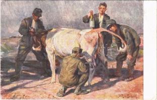 Beutekuh Feldpostkarte des k.u.k. Infanterieregimentes Freiherr von Bolfras Nr. 84. / WWI Austro-Hungarian K.u.K. military art postcard, soldiers milking the cow (EB)