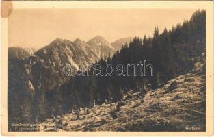 1913 Fogarasi-havasok, Siebenbürgische Karpathen, Muntii Fagarasului; Fogarascher Höhenzug. Haitasel / mountain range. Karpathenwachtverlag Nr. 56. phot. Reinerth (fl)