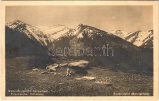 1912 Fogarasi-havasok, Siebenbürgische Karpathen, Muntii Fagarasului; Fogarascher Höhenzug. Rosengipfel (Surulgebiet) / mountain range. Karpathenwachtverlag Nr. 51. phot. Reinerth (fa)