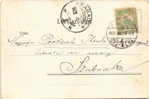 1902 Budapest I. Királyi vár a Krisztinavárostól nézve (EK)