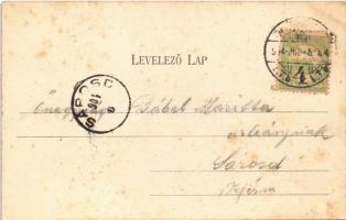 1904 Budapest I. Kilátás a Gellérthegyről, Királyi vár, Tabán, Döbrentei tér, Szenes Ede üzlete. Div...